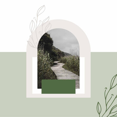 Personal Wellness - Mellow