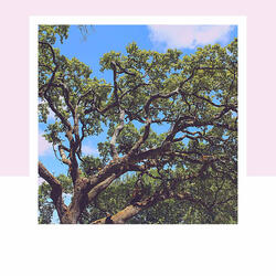 Personal Wellness - Feelings