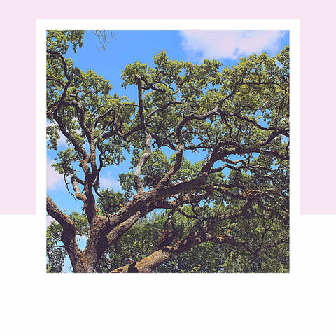 Relaxing Days (Cute)