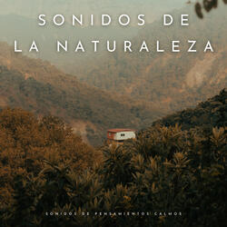 Experiencia En La Montaña