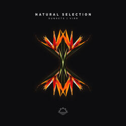Natural Selection