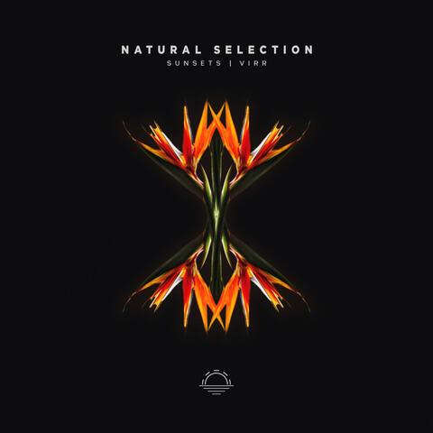 Natural Selection