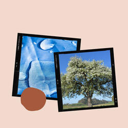 Laid-back (Spa Days at Home)