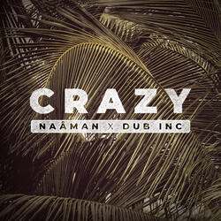 Crazy (feat. Dub Inc)