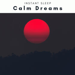 Great Ocean Music for REM Sleep and Instant Rest part 2