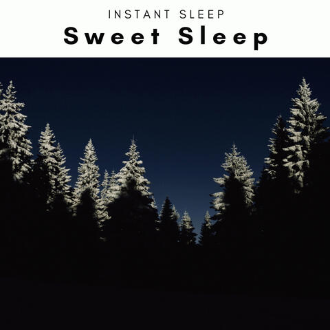 Sweet Sleep