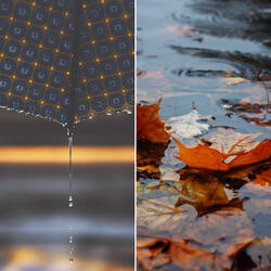 High-class Ambience for Relaxing Spring Time