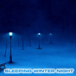 Calming Winter Night Sound (feat. White Noise Sounds For Sleep, White Noise Ambience, National Geographic Soundscapes, Soothing Baby Sounds & North Blizzard White Noise)