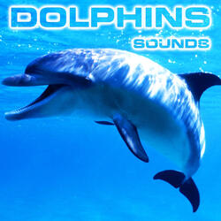 Relaxing Dolphins Sounds (feat. National Geographic Soundscapes, Soothing Sounds, Soothing Baby Sounds, Relaxing Nature Sound, White Noise Sounds For Sleep & White Noise Ambience)