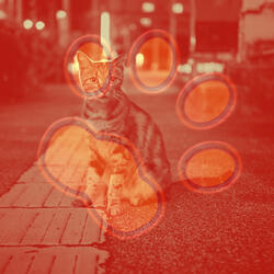 Pulsating Moods for Cute Cat