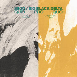 Into the Night (feat. Big Black Delta)