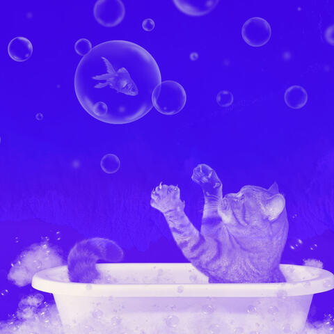 Thrilling Background for Funny Cats