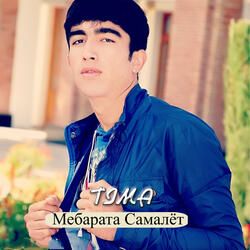 Мебарата Самалёт