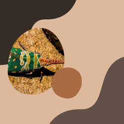 Heavenly Jazz Saxophone - Vibe for Mental Recharging