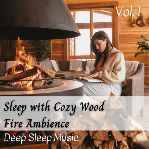 Deep Sleep Music: Sleep with Cozy Wood Fire Ambience Vol. 1
