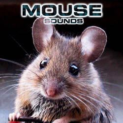 Sounds of a Mouse (feat. National Geographic Nature Sounds, White Noise Ambience, Relaxing Nature Sound, Soothing Baby Sounds & National Geographic Soundscapes)