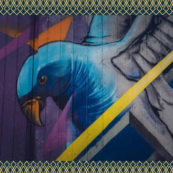 Sparkling Spring Mentality