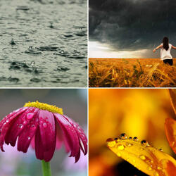 Laid-back Music for Cozy Thunderstorms