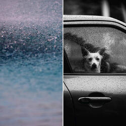 Tranquil Rainy Aprils