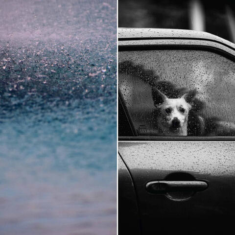 Echoes of Cozy Thunderstorms