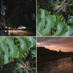 Delightful Backdrops for Thrilling Thursdays