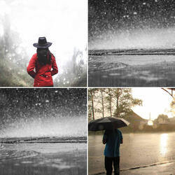 Charming Backdrops for Rainy Aprils
