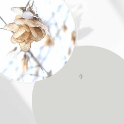 Tasteful Ambience for Simple Reflections