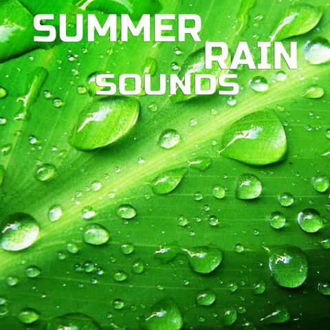 Summer Rain Sounds (feat. Meditation Therapy, Everyday Sounds, Universal Nature Soundscapes, Nature Sounds TV, Nature Scapes TV & Sleeping Sounds)