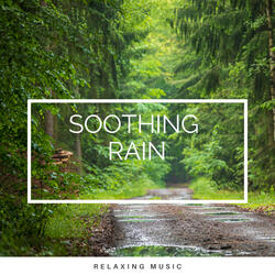 Sounds of Rain Drops for Instant Relax Never Stops