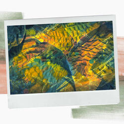 Lonely The Best Mornings