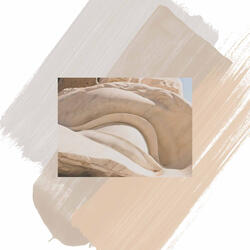 Friendly Backdrops for Manifesting Creativities
