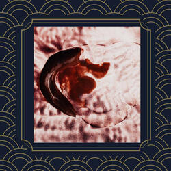 Wonderful Invisible Work