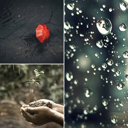 Charming Music for Feelings