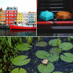Vibrant Fun in May
