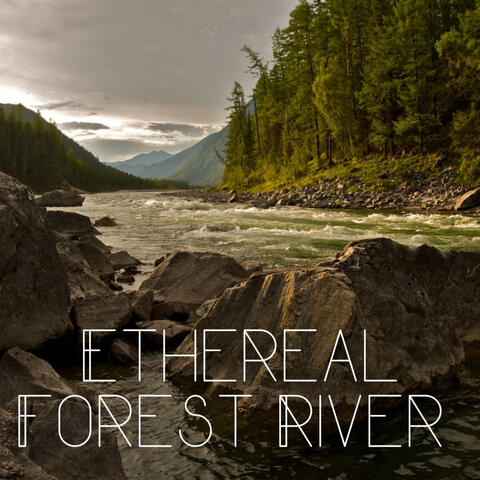 Ethereal Forest River
