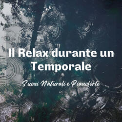 A passi Veloci sotto un Ombrello