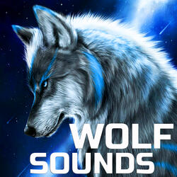Wolf Sounds