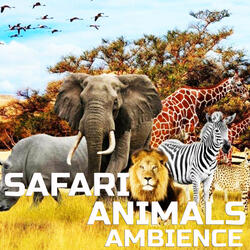 Safari Animals Ambience
