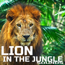 Lion King Sounds