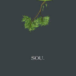 Sou