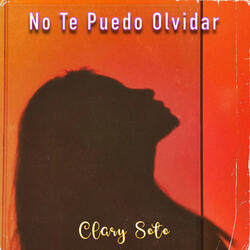 No Te Puedo Olvidar