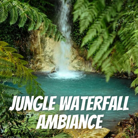Jungle Waterfall Ambiance