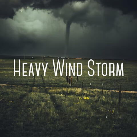 Heavy Wind Storm