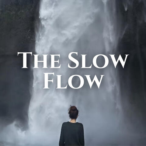 The Slow Flow