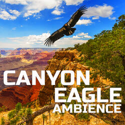 Soothing Canyon Sounds