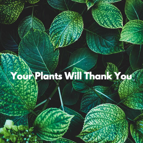 Your Plants Will Thank You