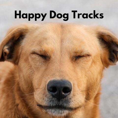 Happy Dog Tracks