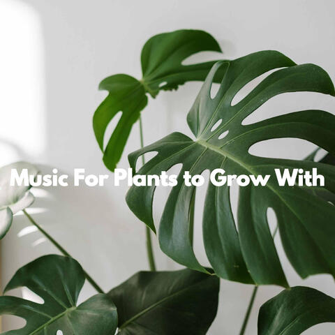 Music For Plants to Grow With