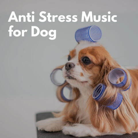 Anti Stress Music for Dog