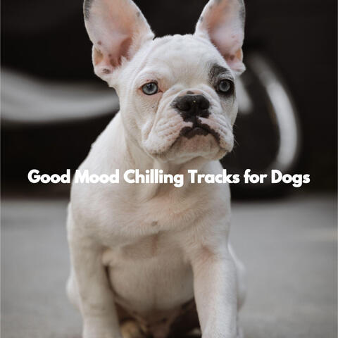 Good Mood Chilling Tracks for Dogs